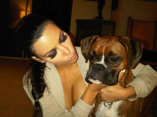 Kim Kardashian Twitter Boobs Kim Kardashian Twitter Boobs